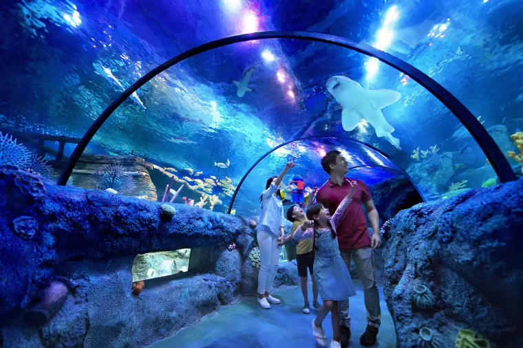 legoland sea