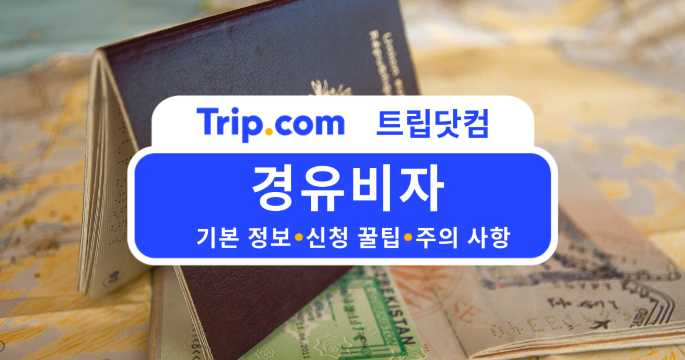 경유비자 안내 가이드