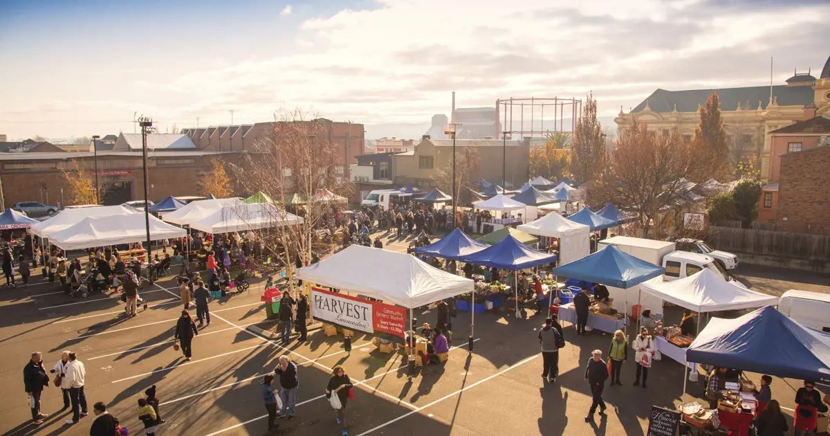 Harvest Market