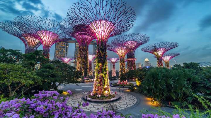 Best Time to Visit Gardens by the Bay