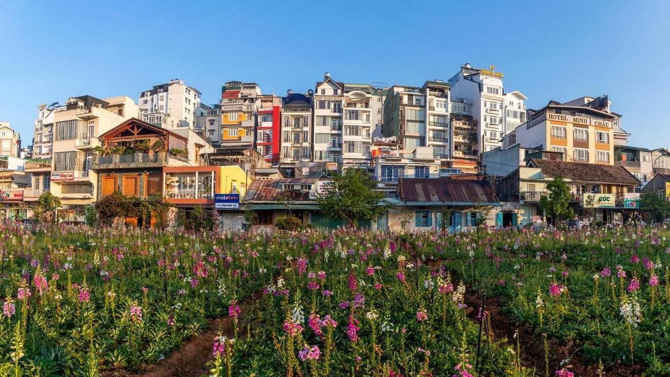 달랏 호텔, 달랏 시티 센터 근처