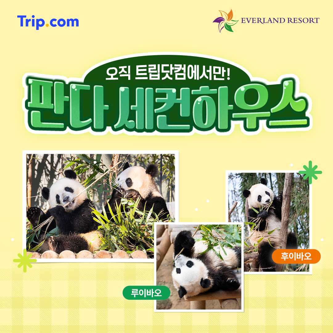 에버랜드 판다월드 사진