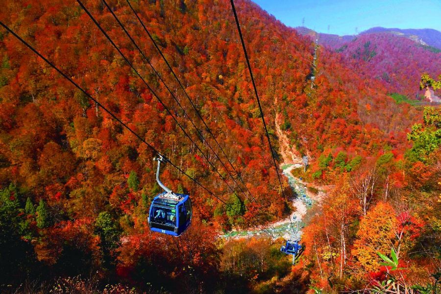 苗場ドラゴンドラ