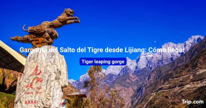 Cómo llegar a la Garganta del Salto del Tigre desde Lijiang en 2026