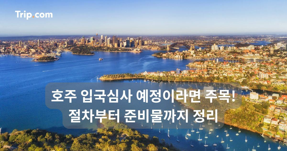 호주 입국심사 준비