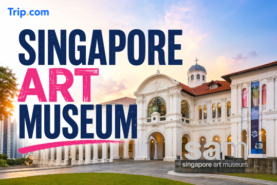 Singapore Art Museum Tickets