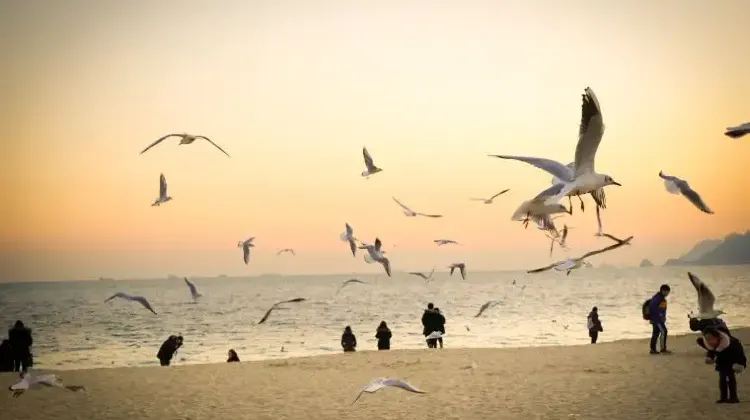 海雲台海水浴場