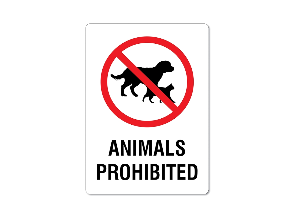 Animals & Animal Products