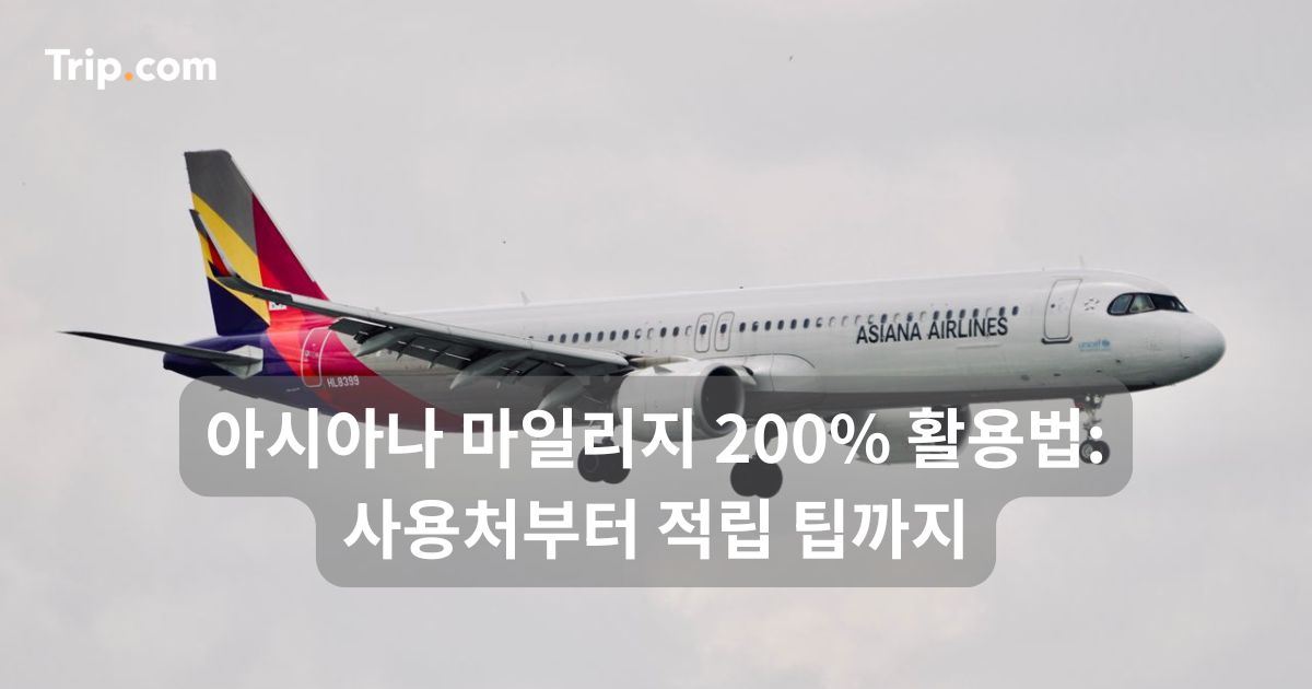 아시아나 마일리지 200% 활용법: 사용처부터 적립 팁까지 | 트립닷컴