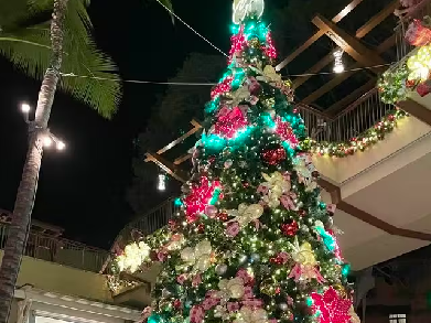 ロイヤル・ハワイアン・センター|ワイキキ中心部で楽しむクリスマス