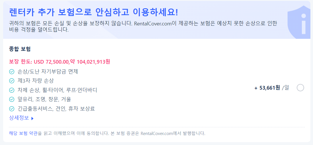 추가 보험 등 필요한 옵션 선택