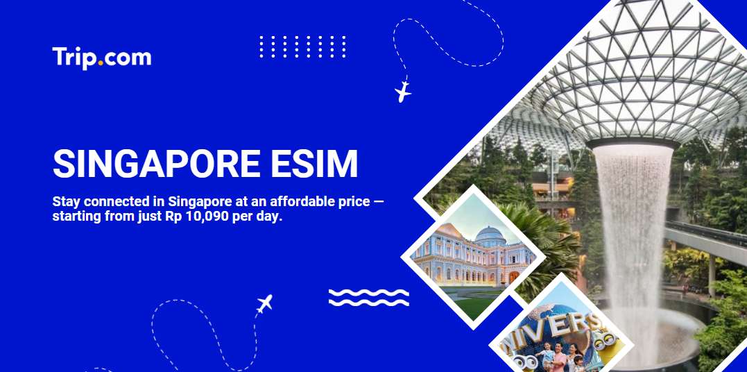 singapore esim