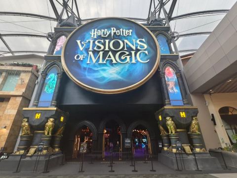 Harry Potter: Visions of Magic
