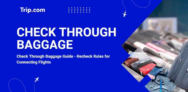 Check Through Baggage Policy