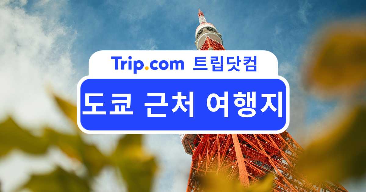 도쿄 근처 여행지 당일치기 가이드