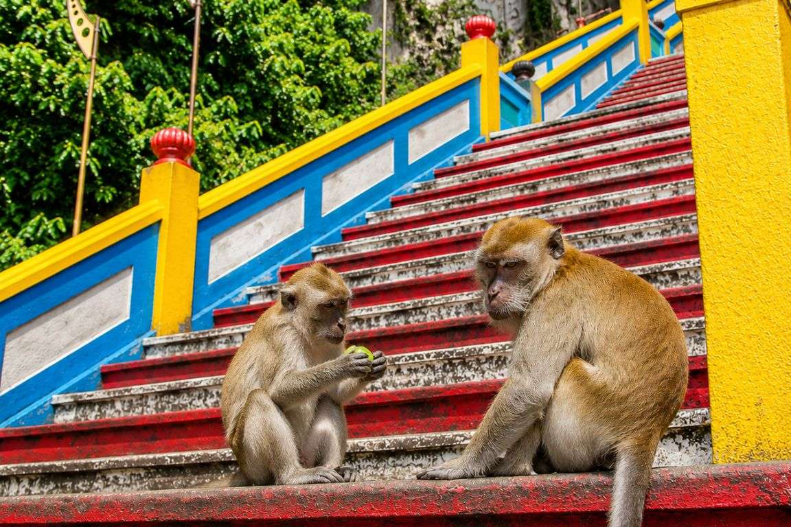 Batu Caves