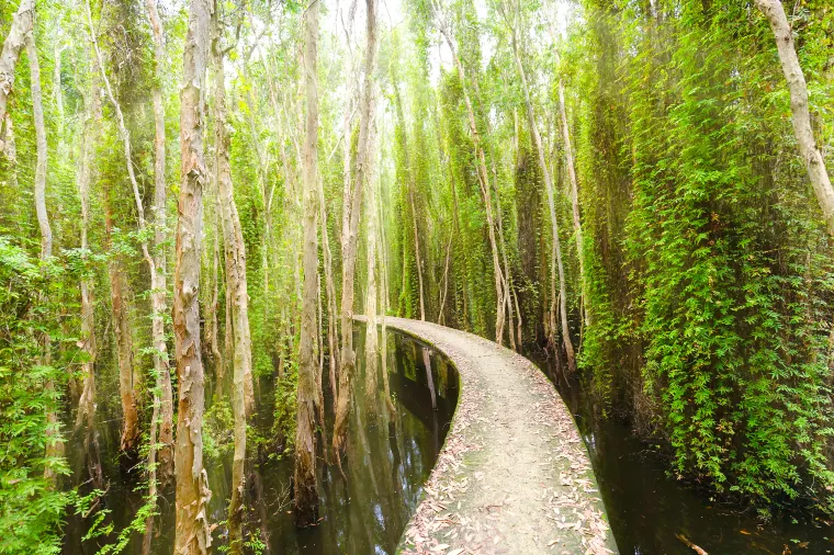 Mangrove Ecological Reserve
