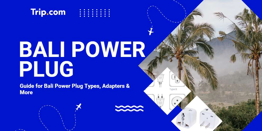 Bali Power Plug