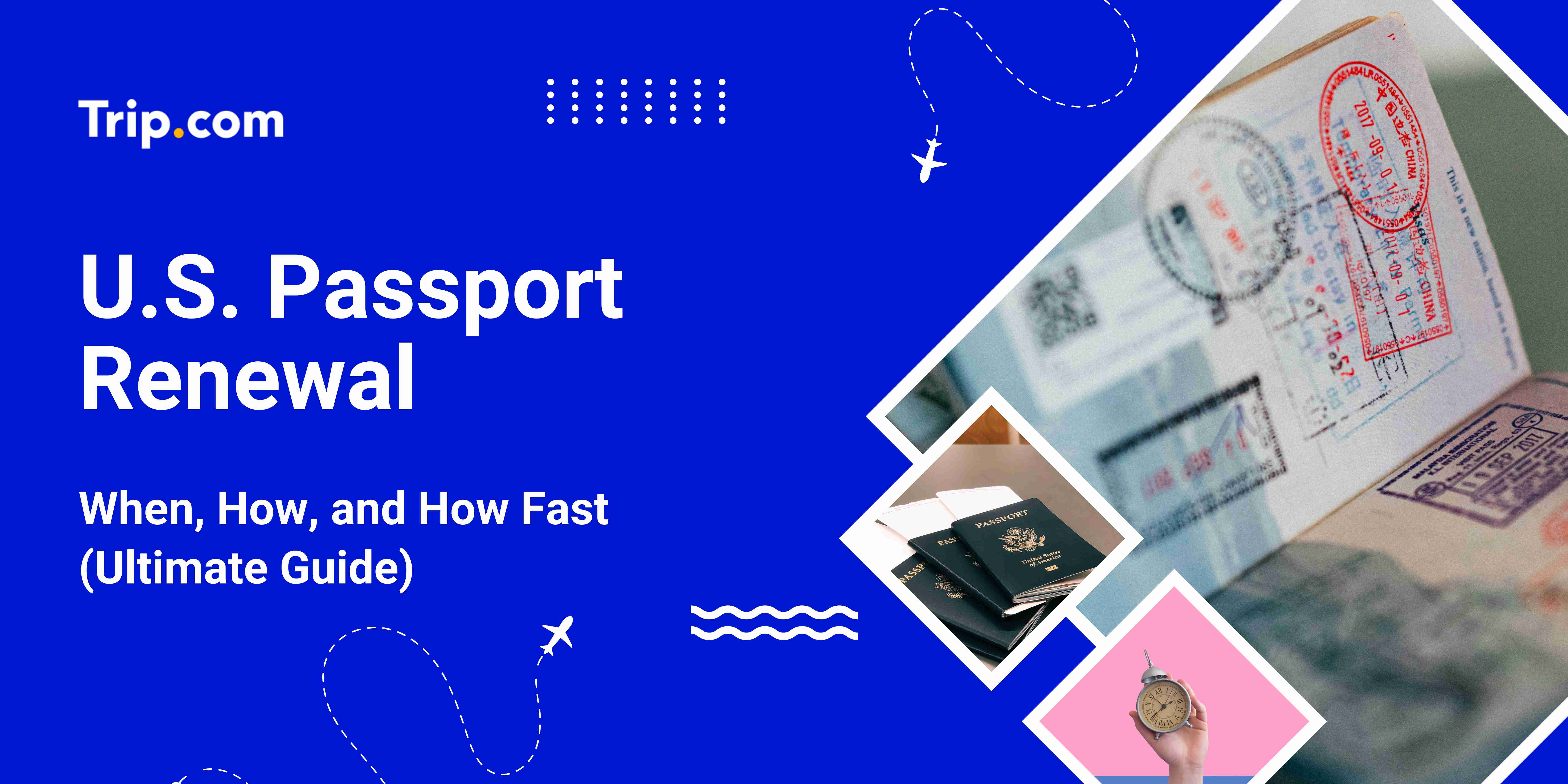 Passport Renewal (Ultimate Guide)