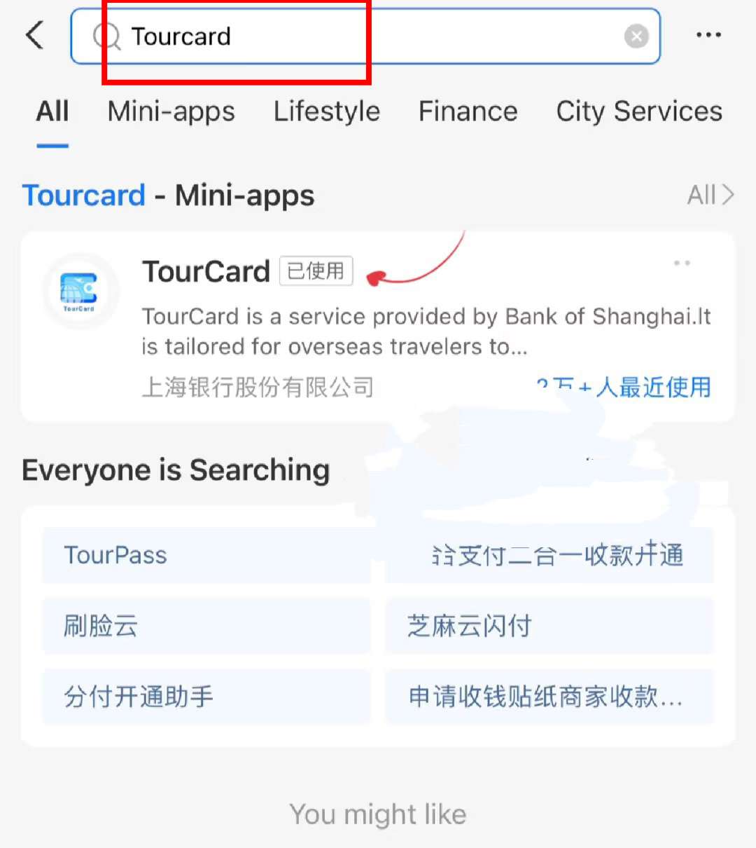 Cara Top Up Alipay untuk Wisatawan Indonesia