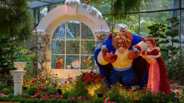 期間限定ディズニーコラボイベントもチェック!