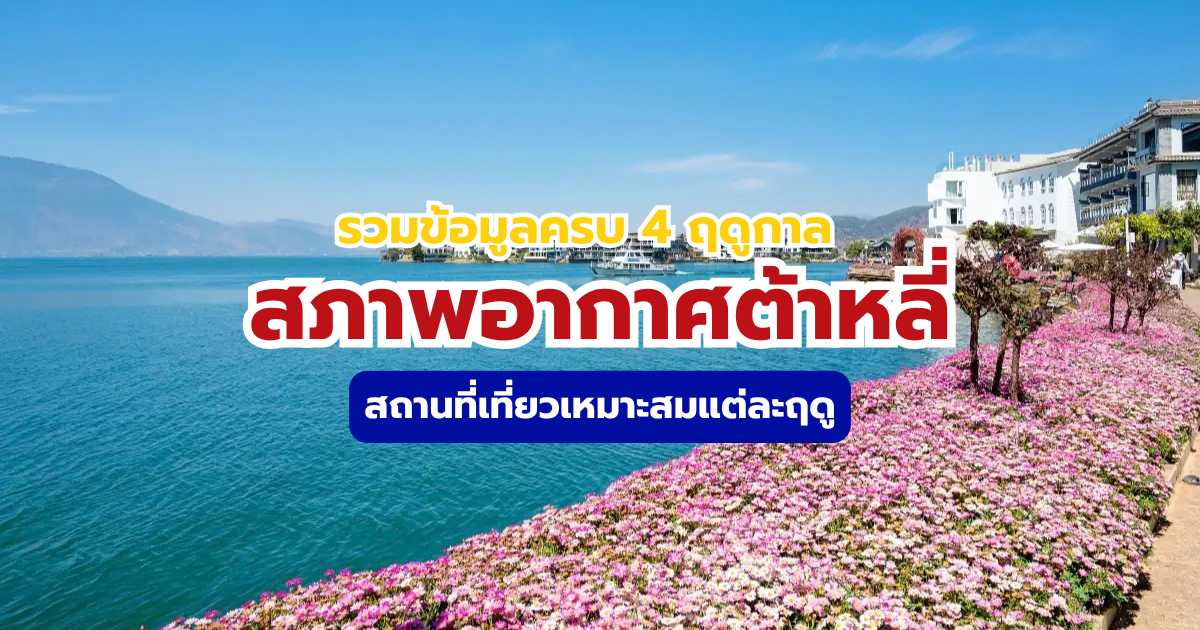 รวมทุกสภาพอากาศต้าหลี่ 2569 เที่ยวเดือนไหนดี เที่ยวที่ไหนดี? | Trip.com
