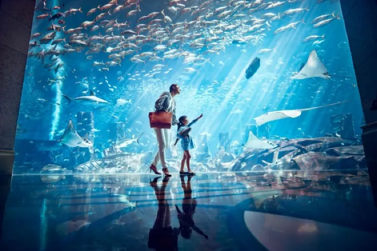 The Lost Chambers Aquarium