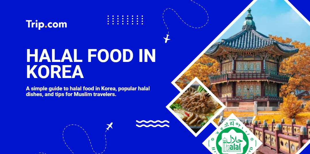 halal food in korea