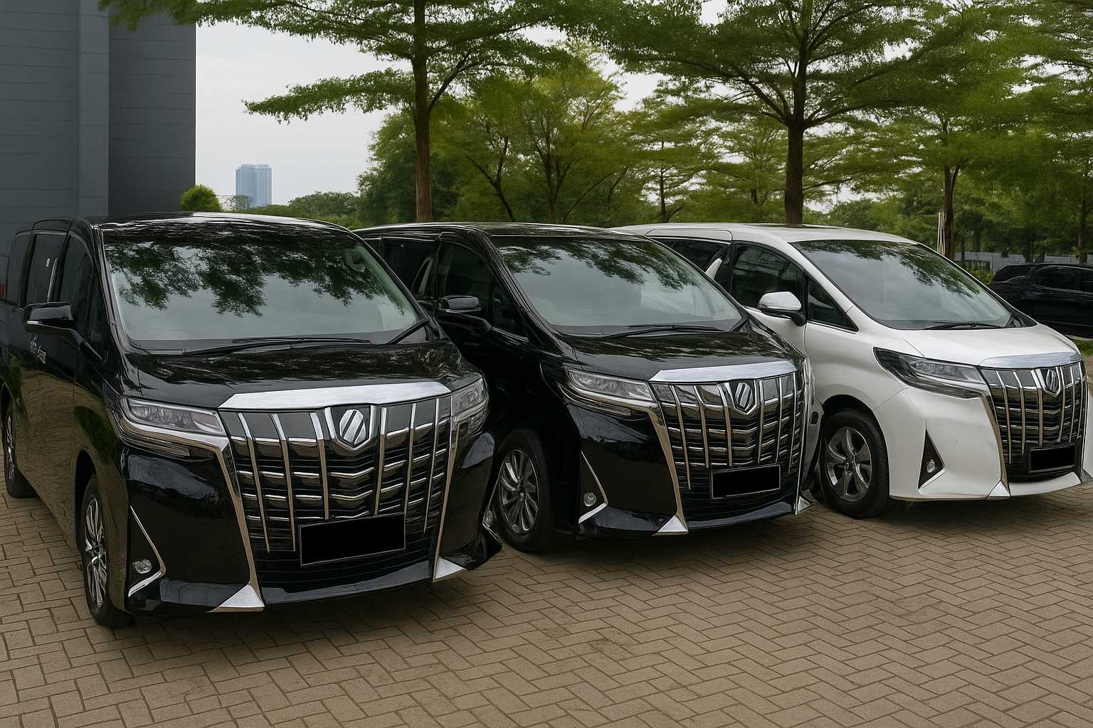 car hire