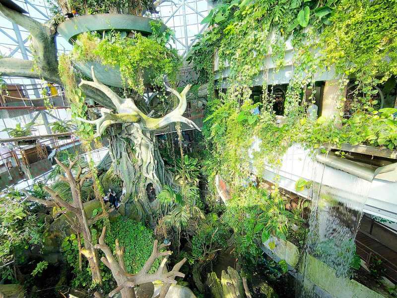 Отели рядом с Грин пленет Дубай