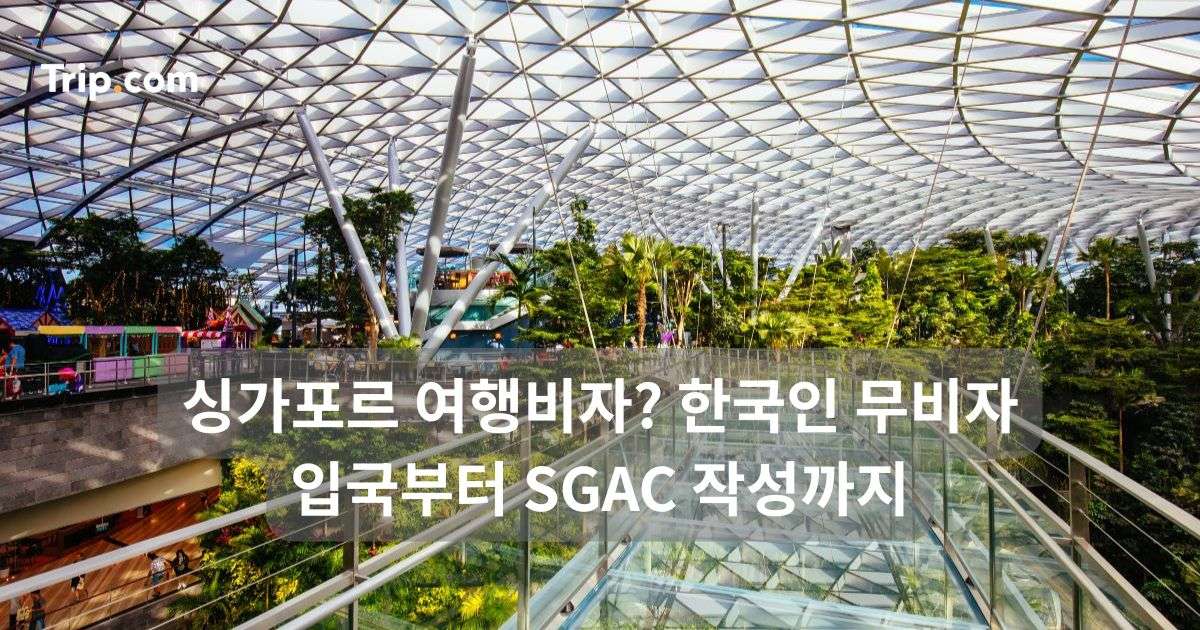 싱가포르 여행비자? 한국인 무비자 입국부터 SGAC 작성까지 | 트립닷컴