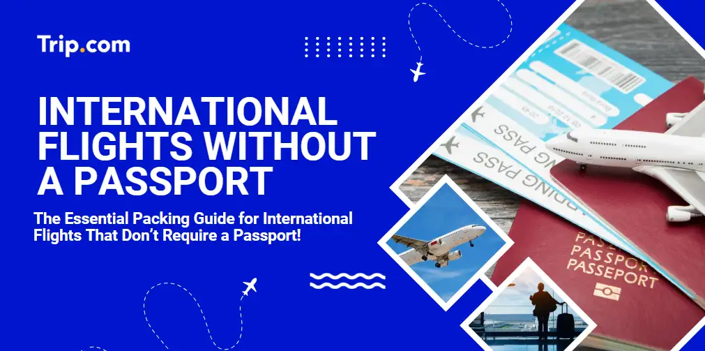 International Flights Without a Passport