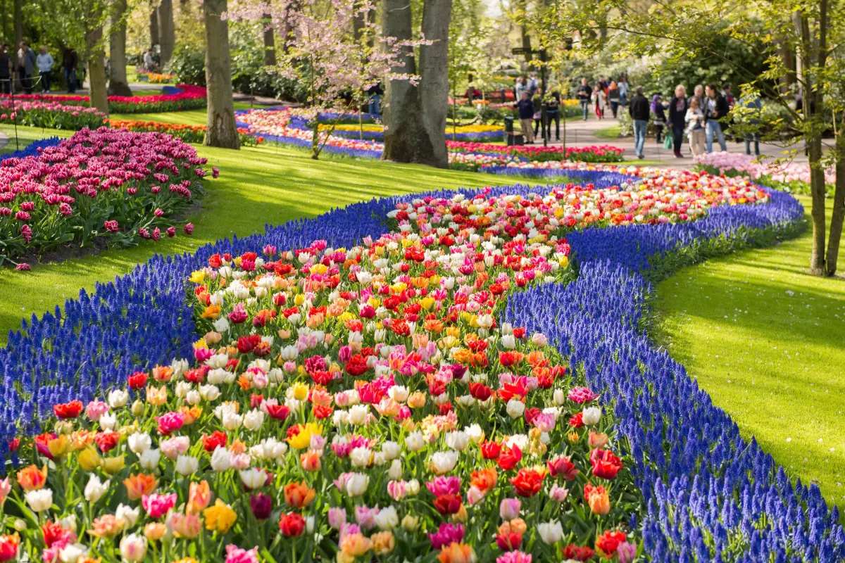 Keukenhof
