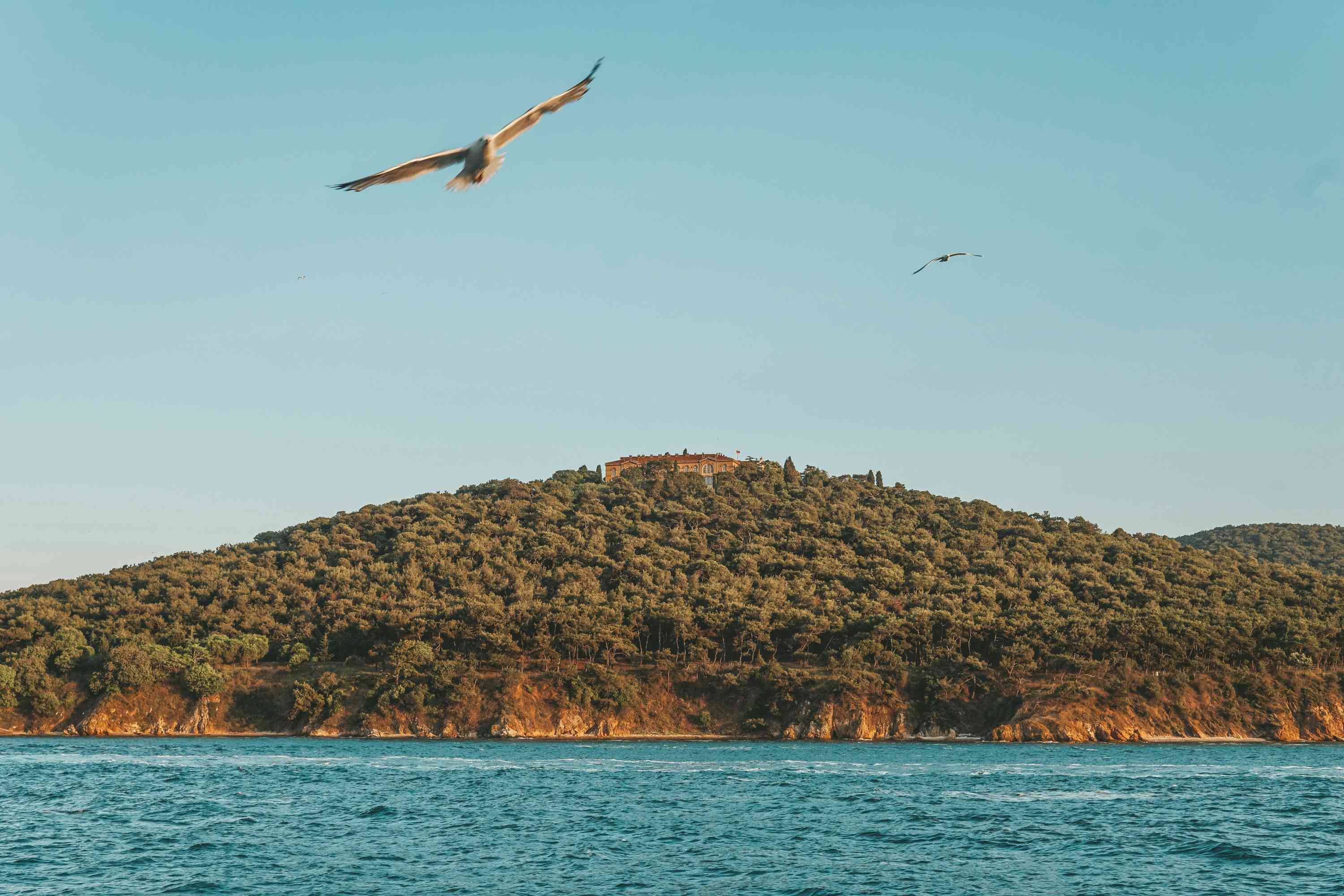 Где есть пляжи в Стамбуле