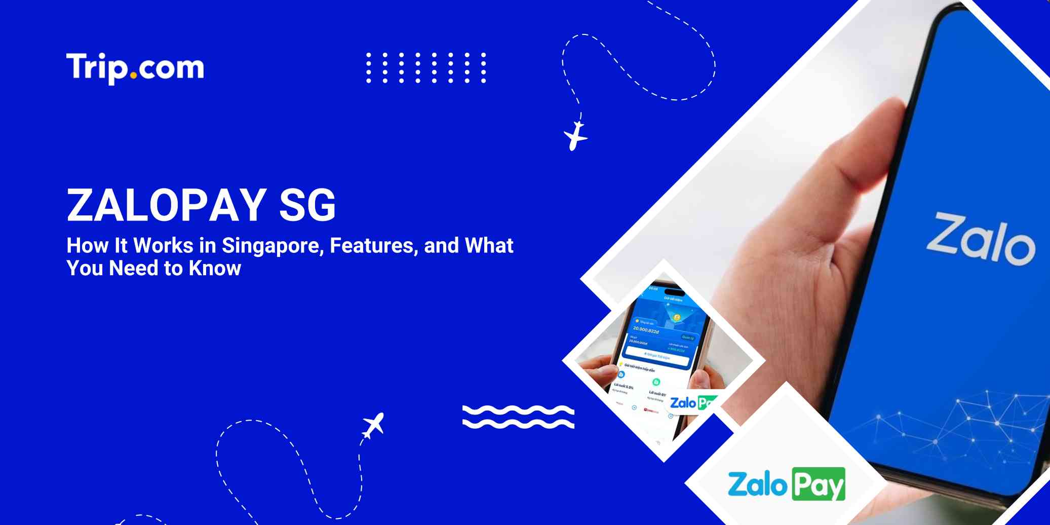 Zalopay SG
