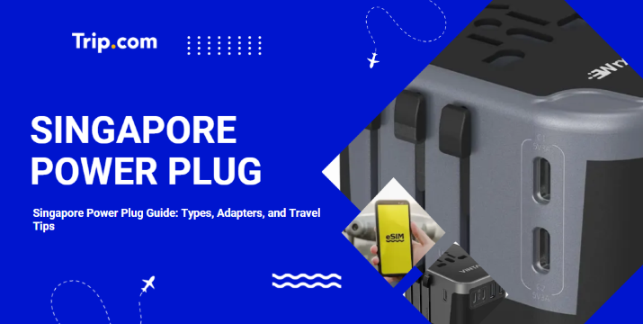 Singapore Plug