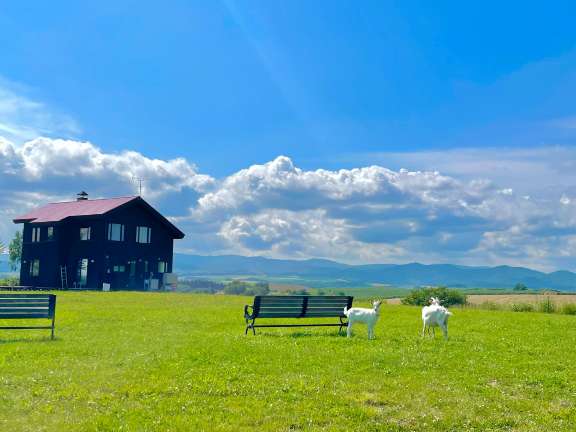 夏休みの北海道旅行で3つの知っておくべきこと