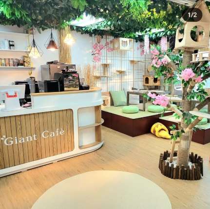 貓 Cafe