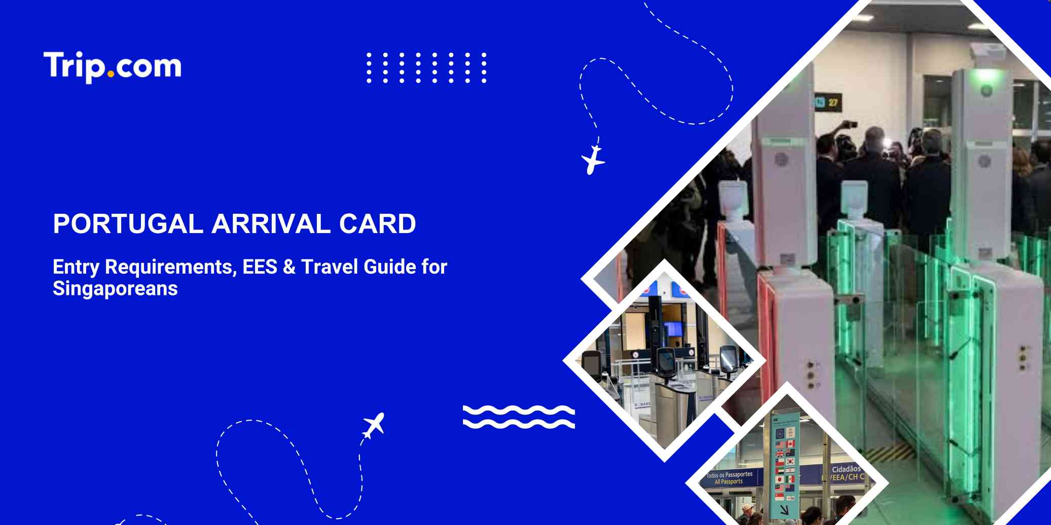Portugal Arrival Card