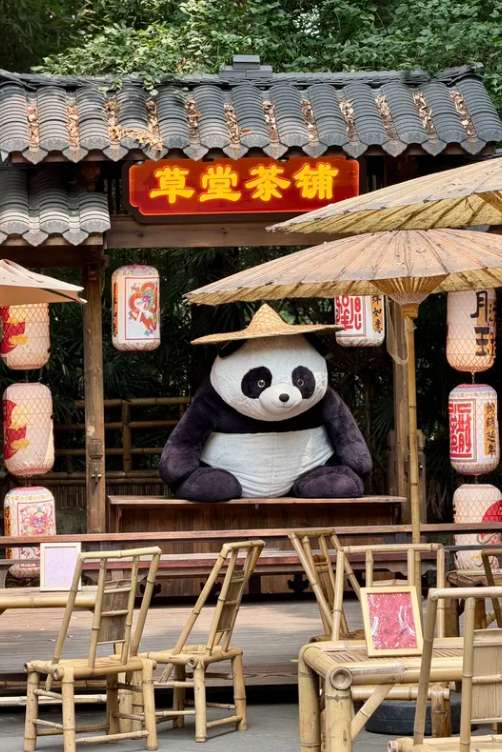 What to Expect? Chengdu Layover at a Glance