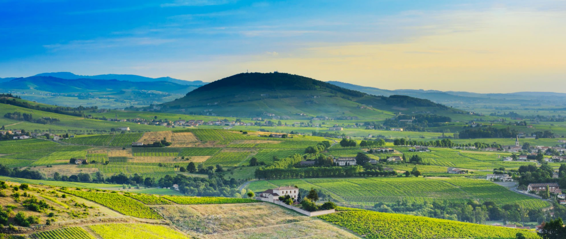 Mont Brouilly