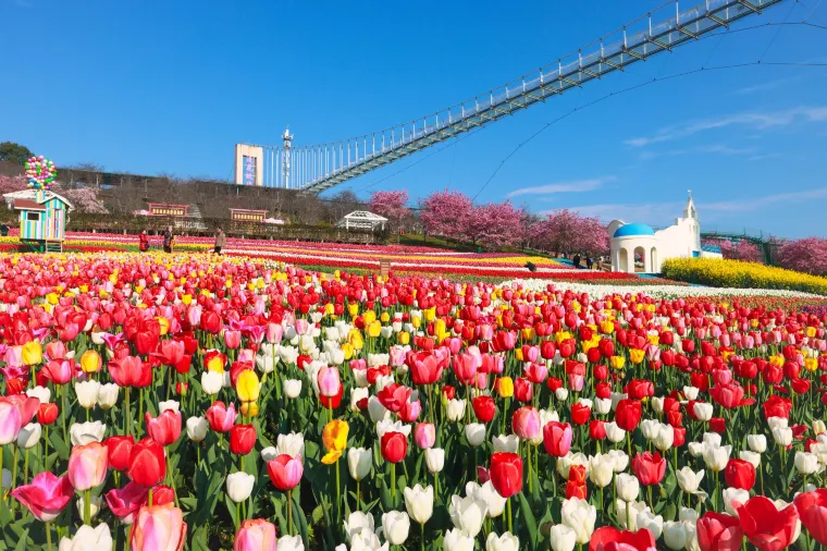 Chengdu Spring