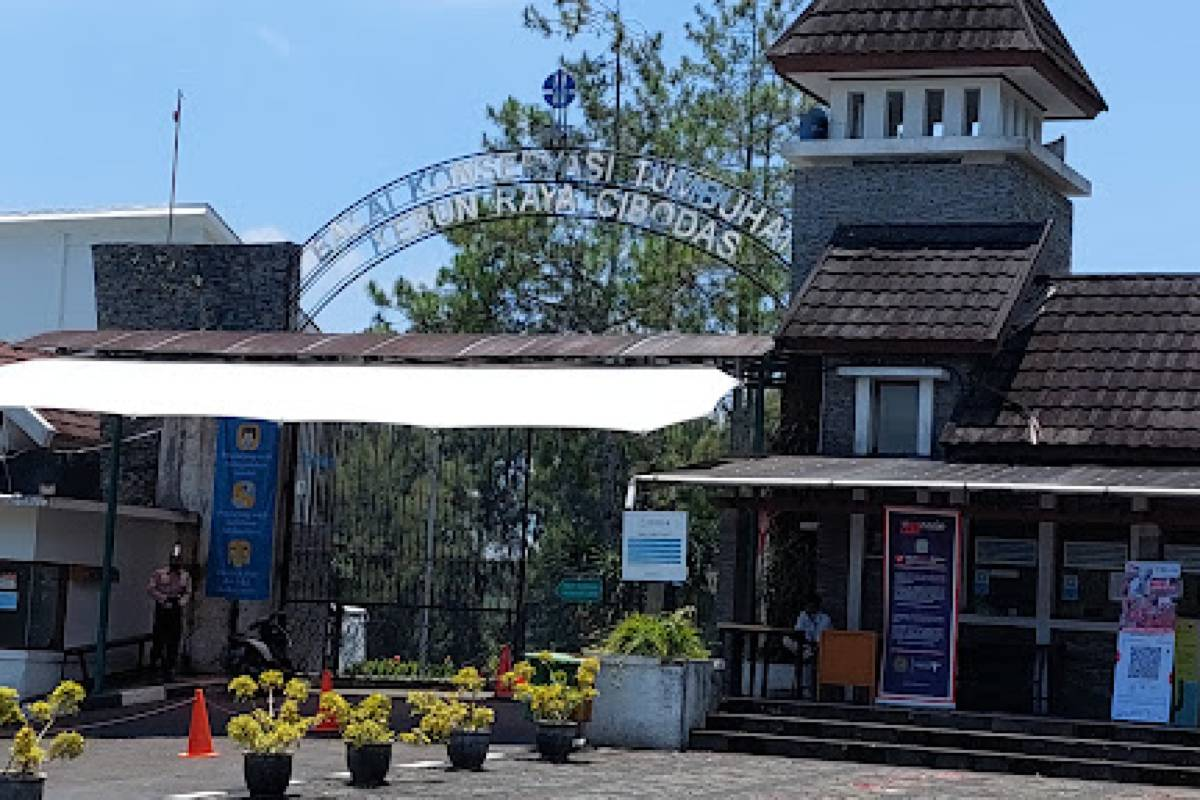 tempat wisata di Cipanas