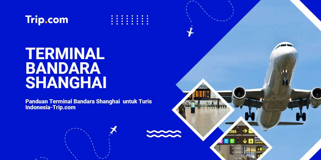 Panduan Terminal Bandara Shanghai -Trip.com