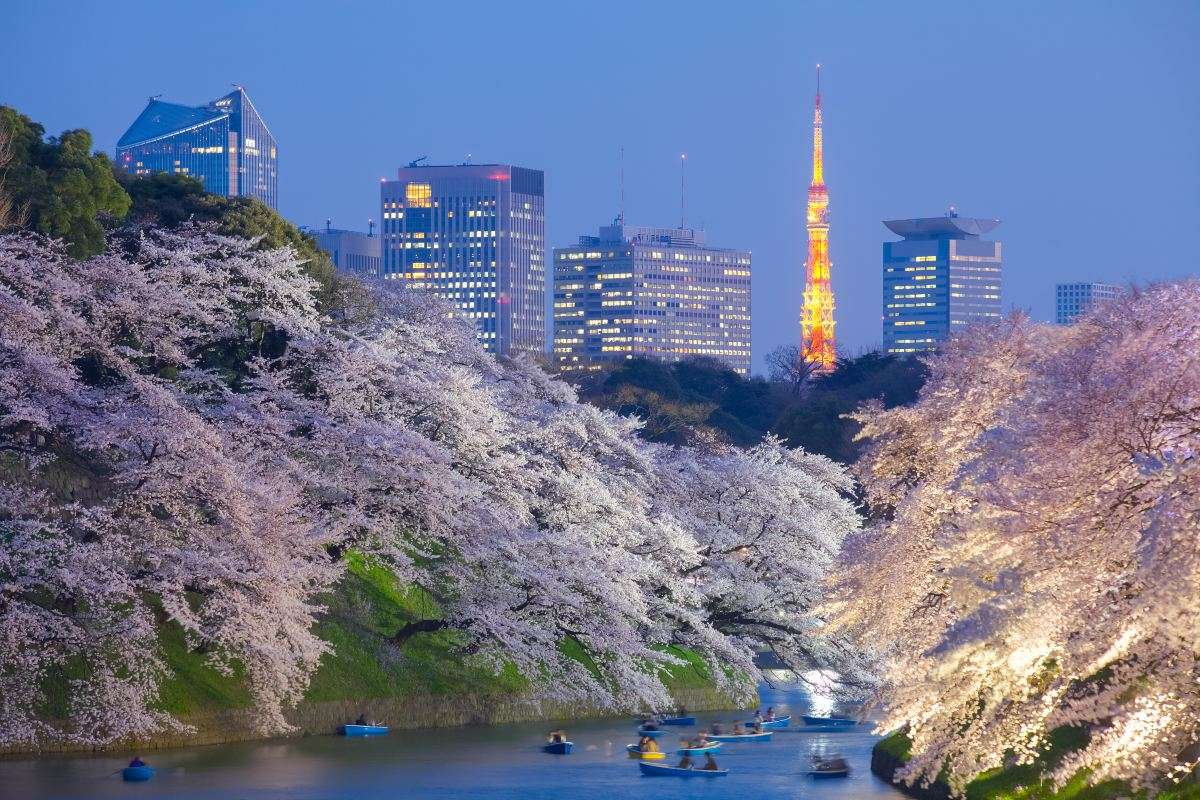 Top things to do in Tokyo