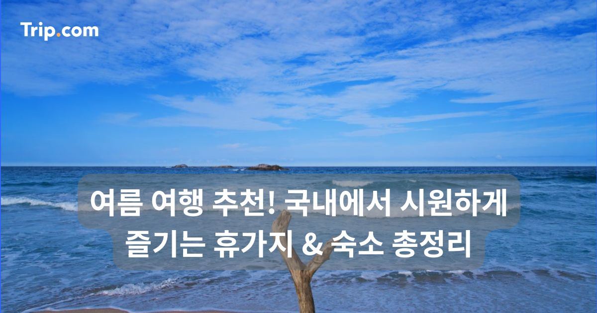 여름 여행 추천! 국내에서 시원하게 즐기는 휴가지 & 숙소 | 트립닷컴