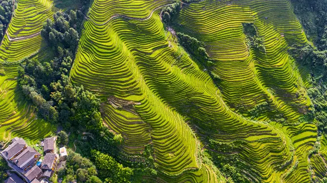 Longji Terraces