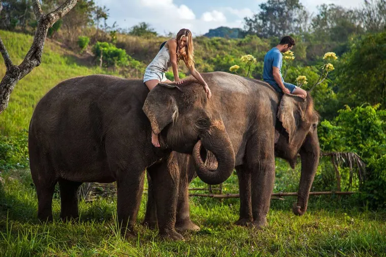 Bali Elephant Park