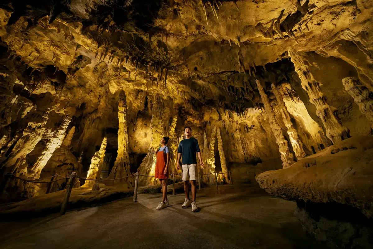 レインフォレスト・ワイルド・アジアの見どころ