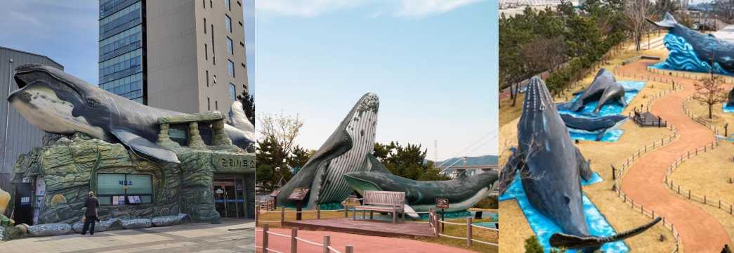 Menjelajahi Jangsaengpo Whale Cultural Village